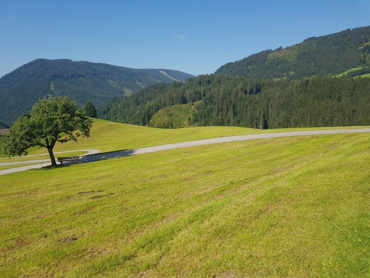 Appartement Muehlebnerhof Ramsau am Dachstein Exterior foto