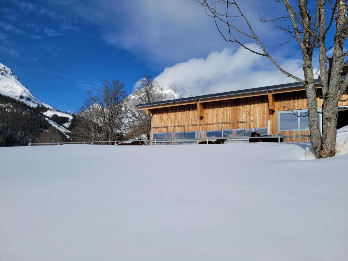 Appartement Muehlebnerhof Ramsau am Dachstein Exterior foto